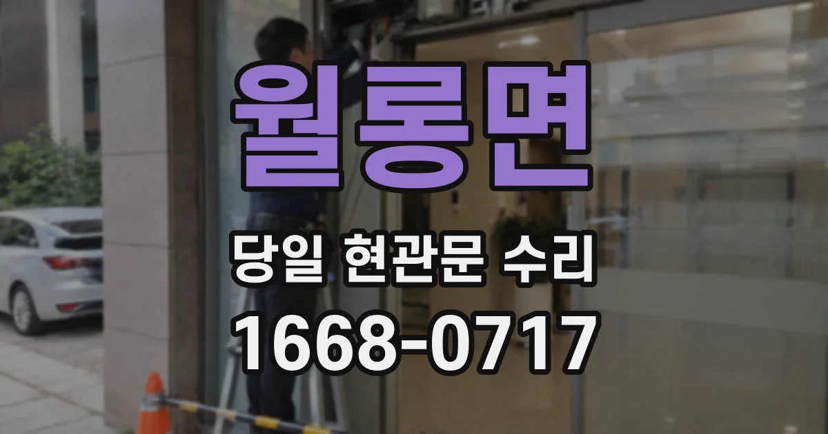 월롱면 당일 현관문 수리