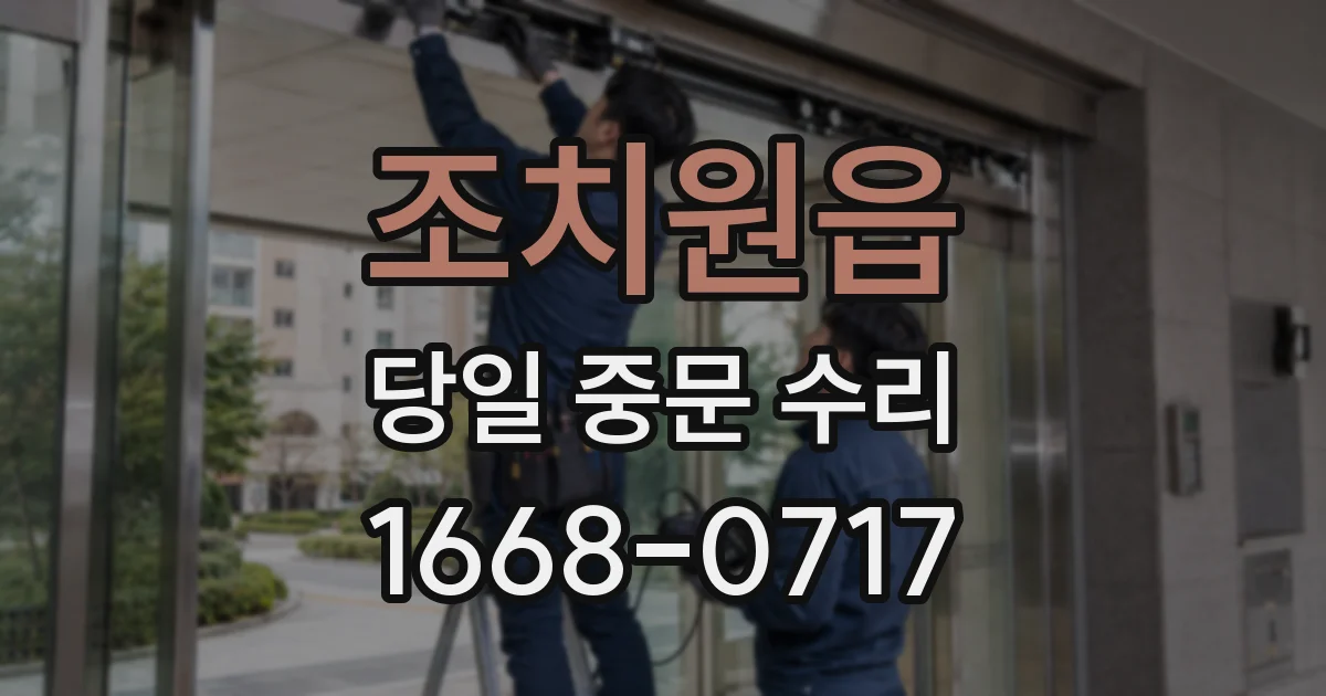 조치원읍 당일 중문 수리