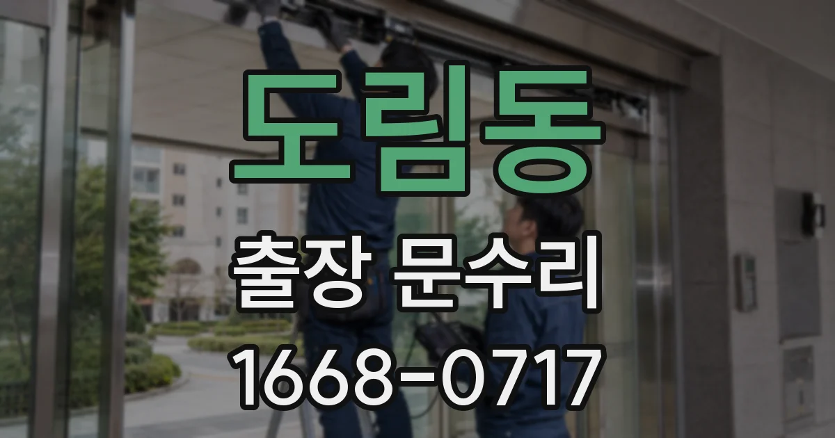 도림동 출장 문수리