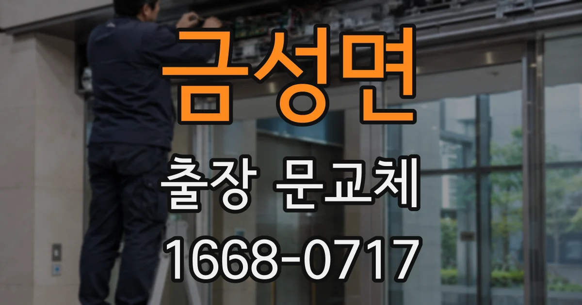 금성면 출장 문교체