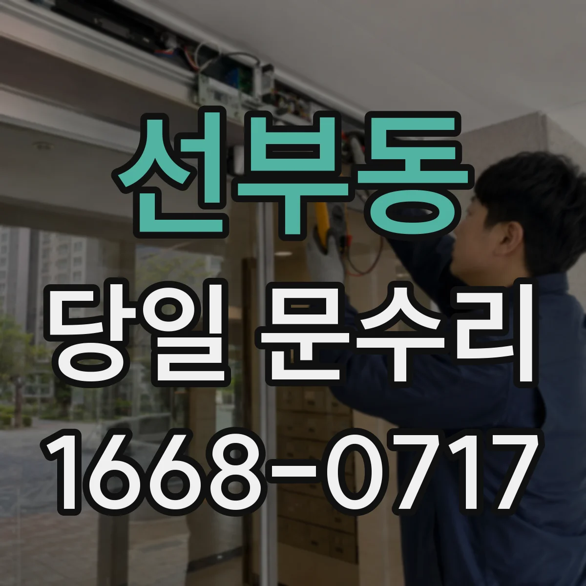 선부동 당일 문수리