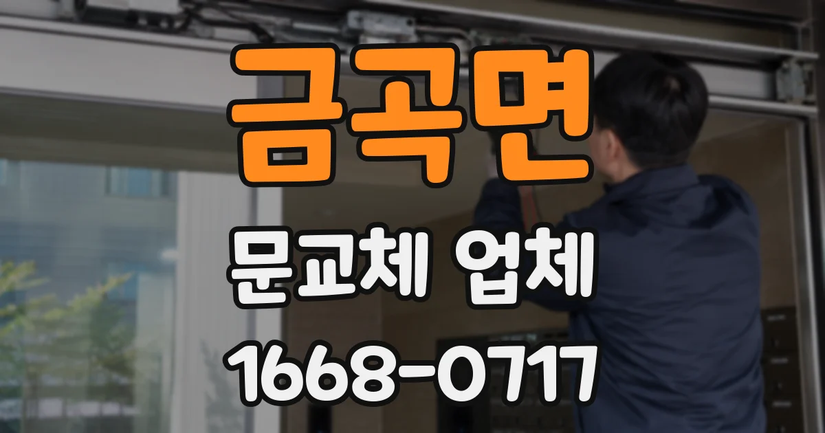 금곡면 문교체 업체