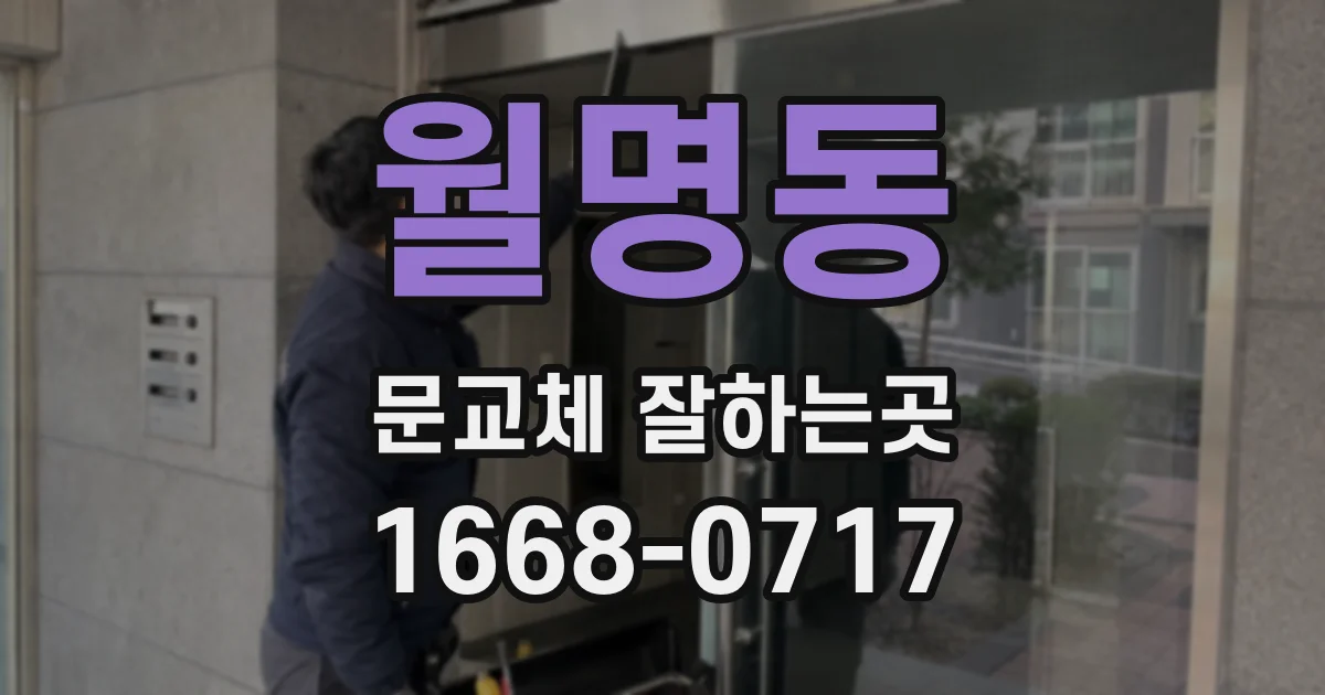 월명동 문교체 잘하는곳