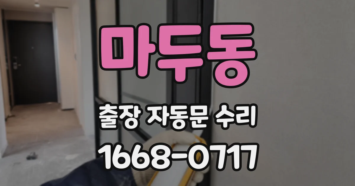 마두동 출장 자동문 수리