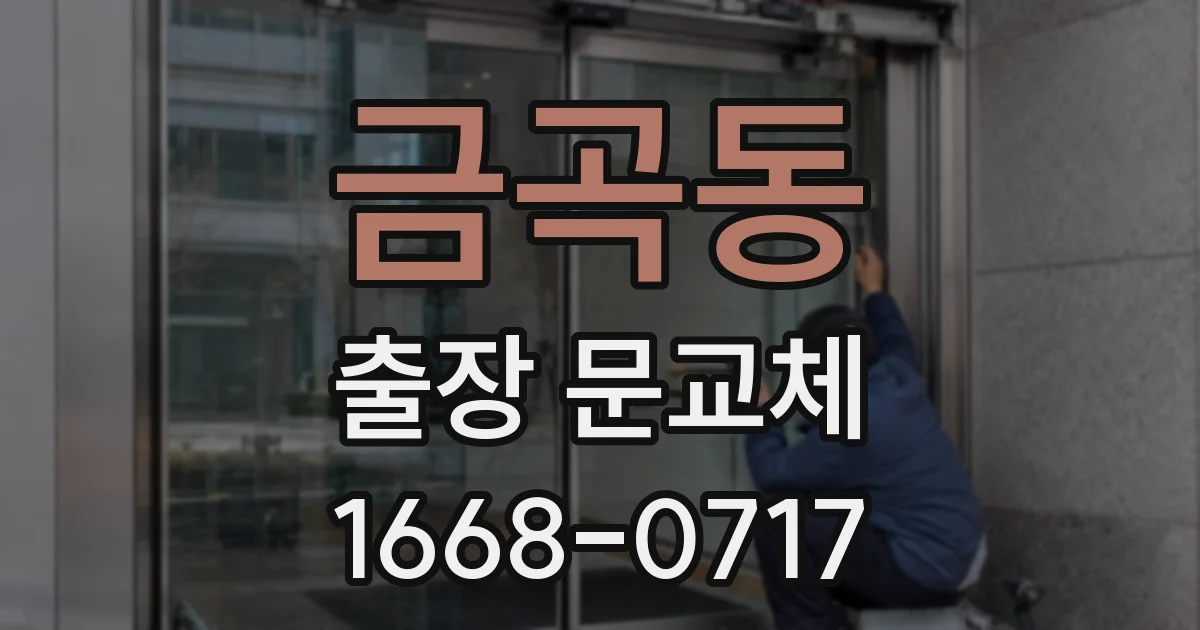 금곡동 출장 문교체