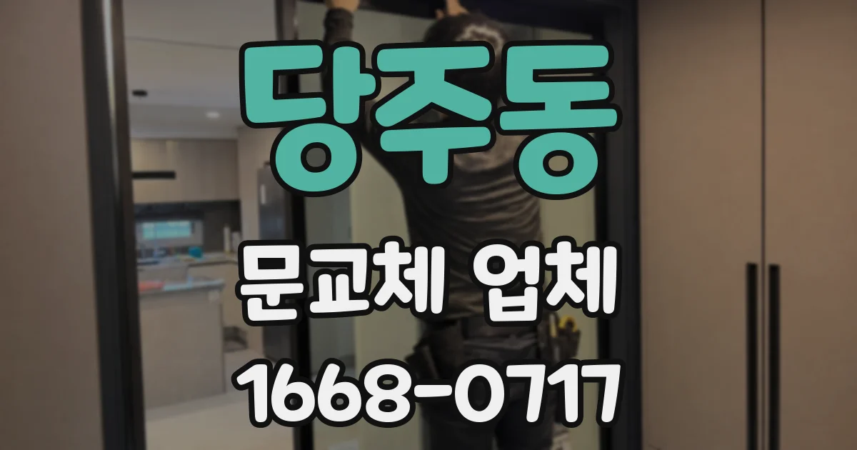 당주동 문교체 업체