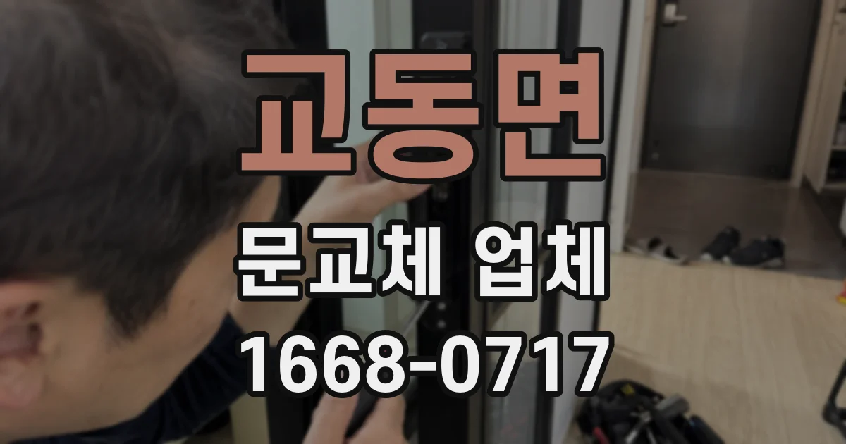교동면 문교체 업체