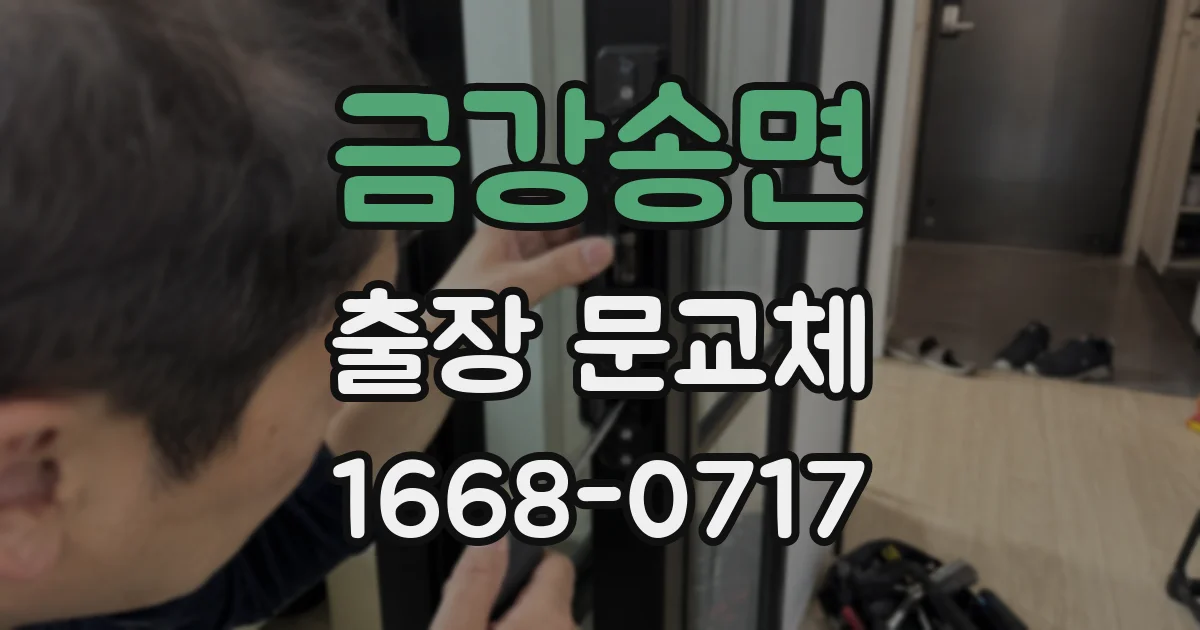 금강송면 출장 문교체