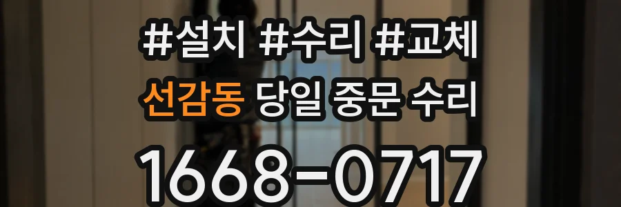 선감동 당일 중문 수리