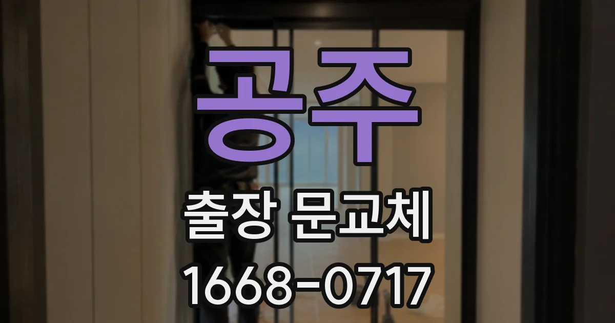 공주 출장 문교체