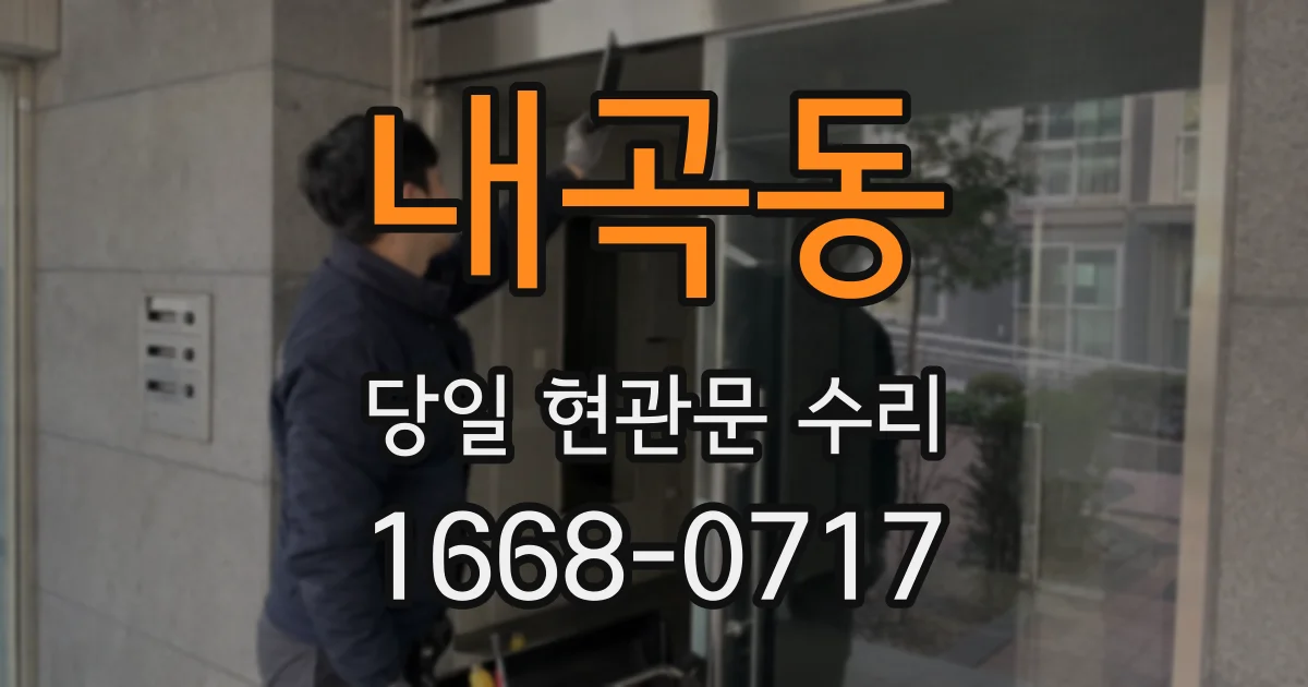 내곡동 당일 현관문 수리