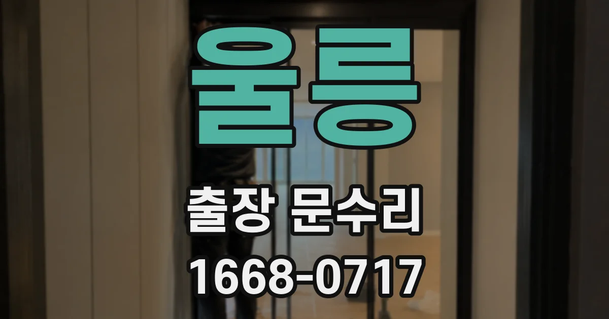 울릉 출장 문수리