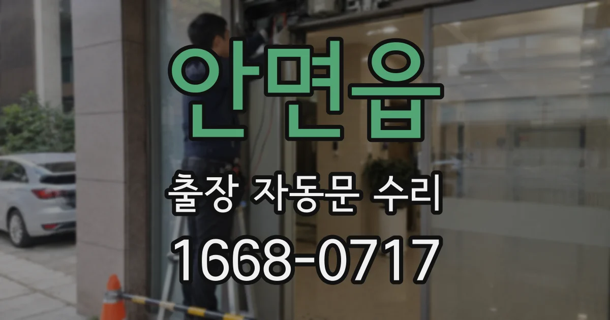 안면읍 출장 자동문 수리