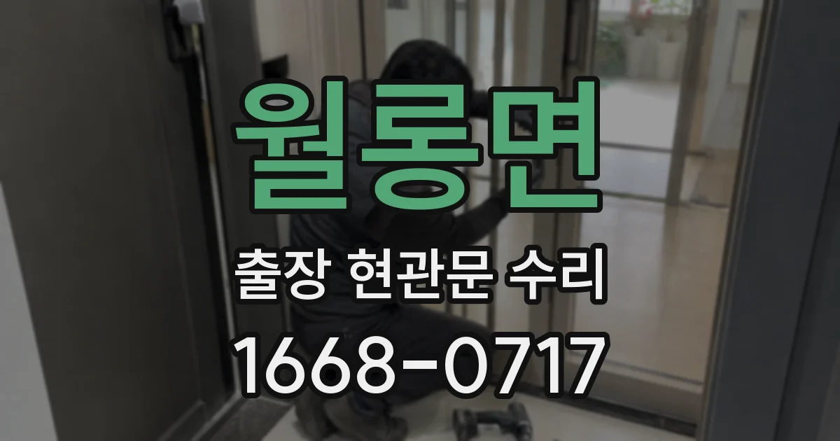 월롱면 출장 현관문 수리