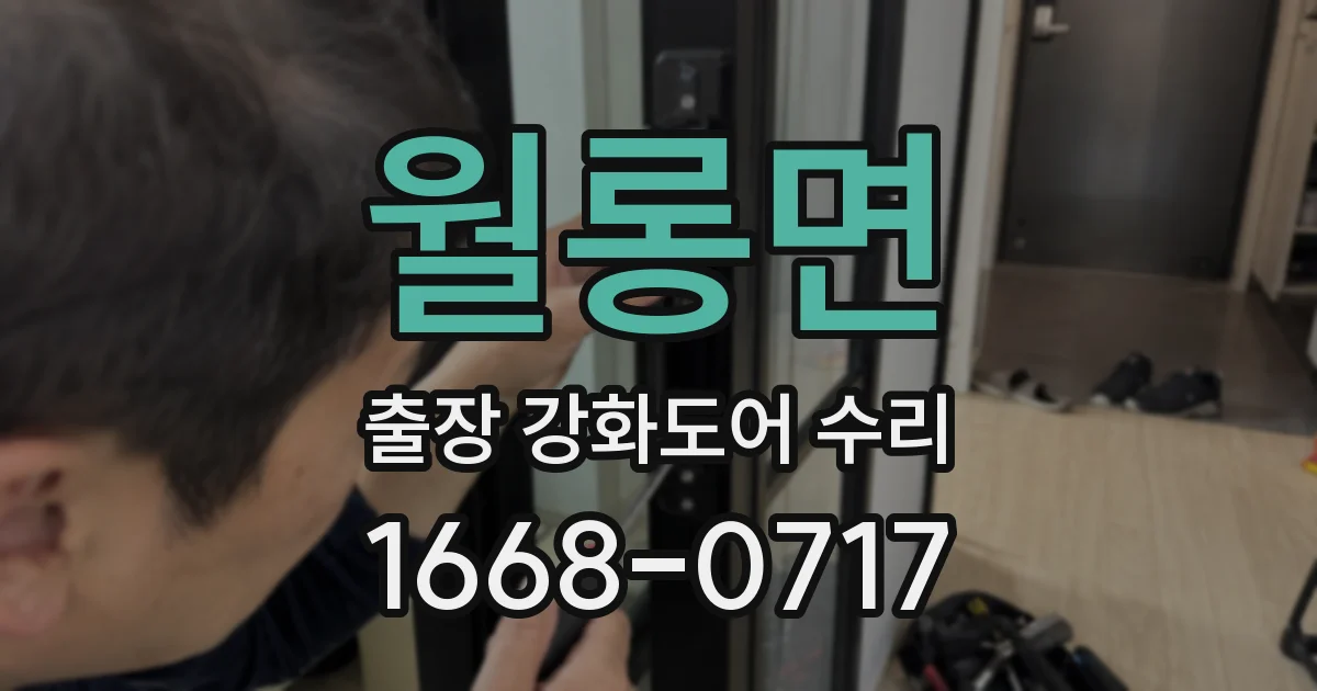 월롱면 출장 강화도어 수리