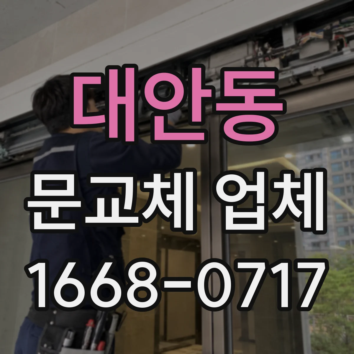 대안동 문교체 업체