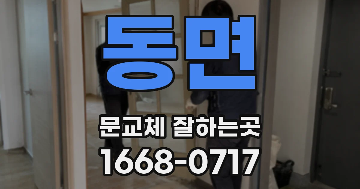 동면 문교체 잘하는곳