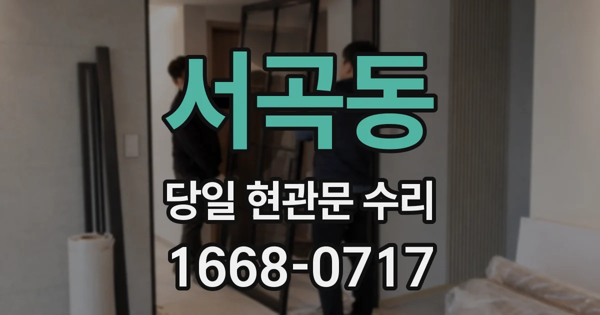 서곡동 당일 현관문 수리