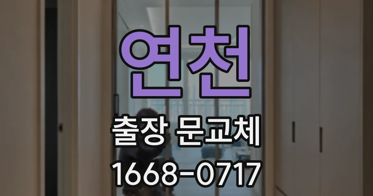 연천 출장 문교체