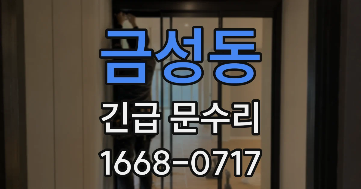 금성동 긴급 문수리