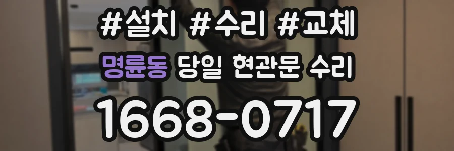 명륜동 당일 현관문 수리