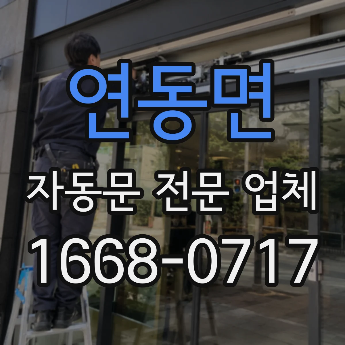 연동면 자동문 전문 업체