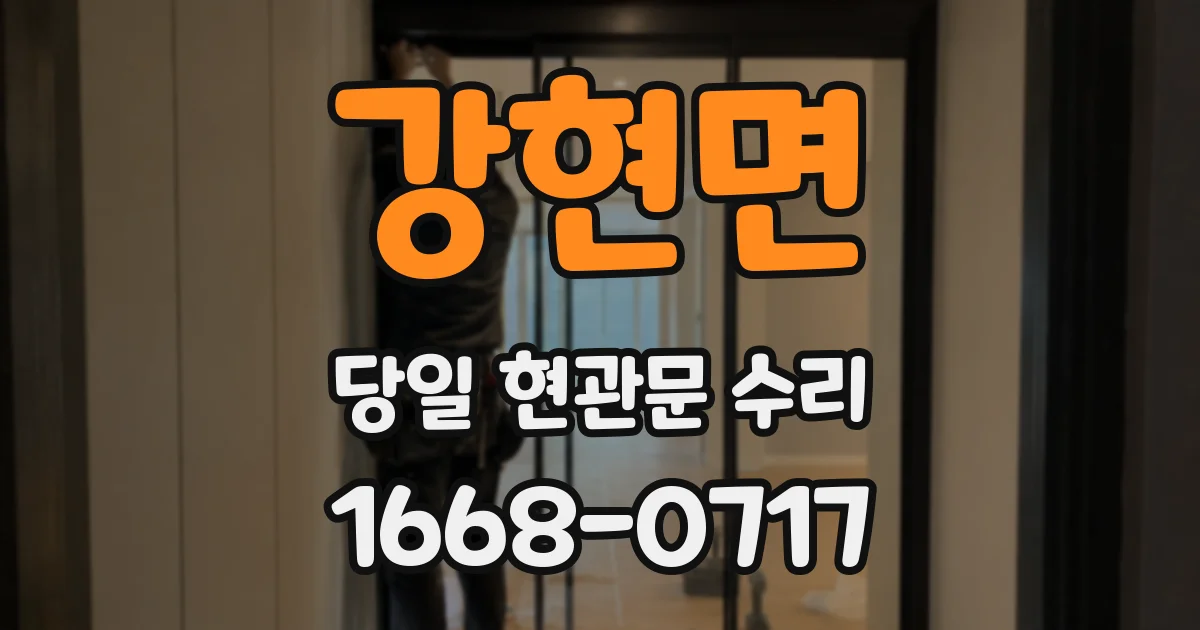 강현면 당일 현관문 수리