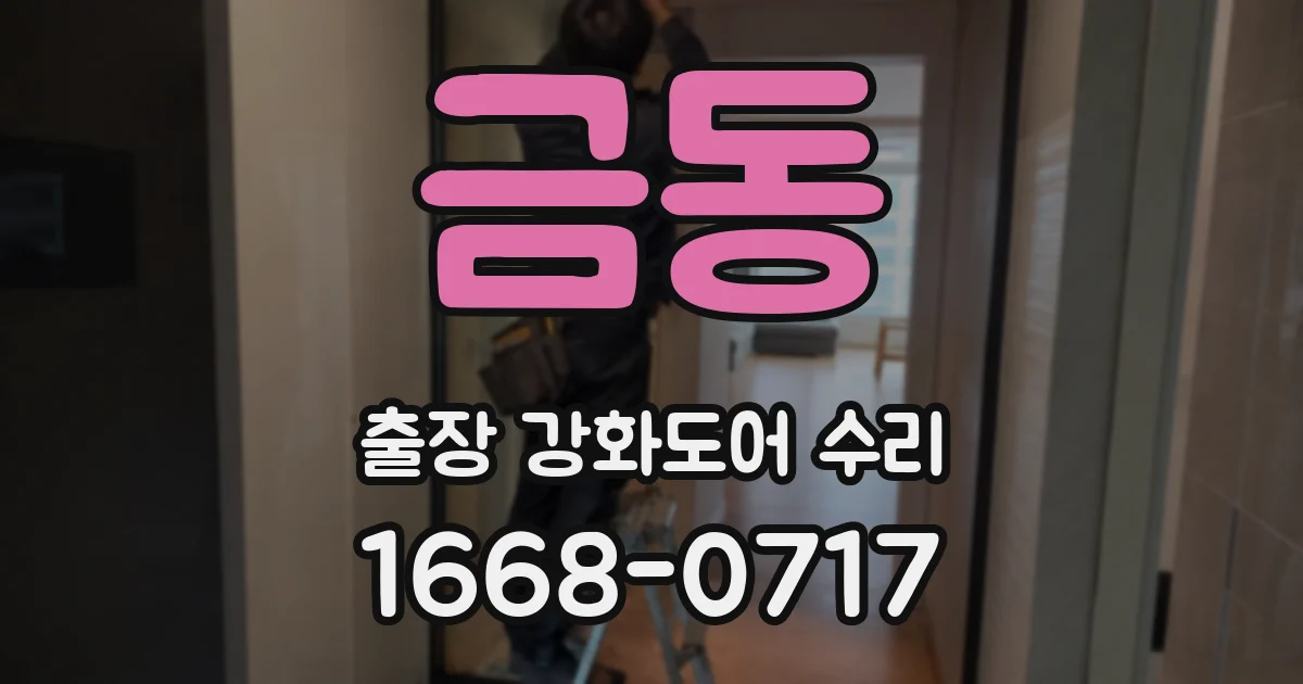 금동 출장 강화도어 수리