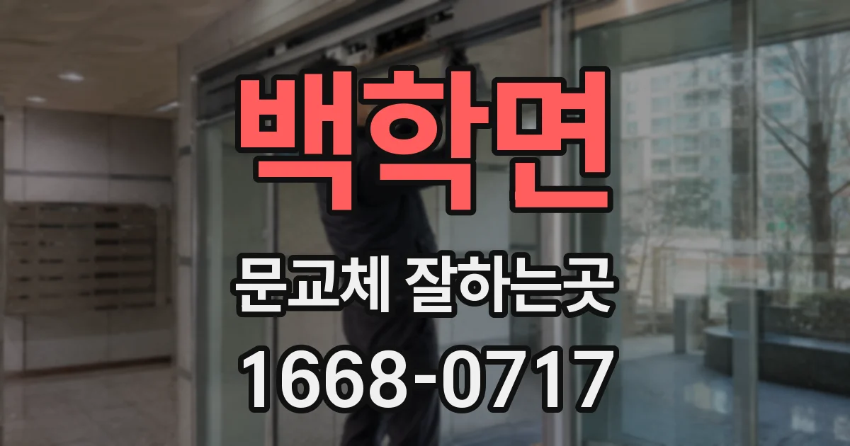 백학면 문교체 잘하는곳