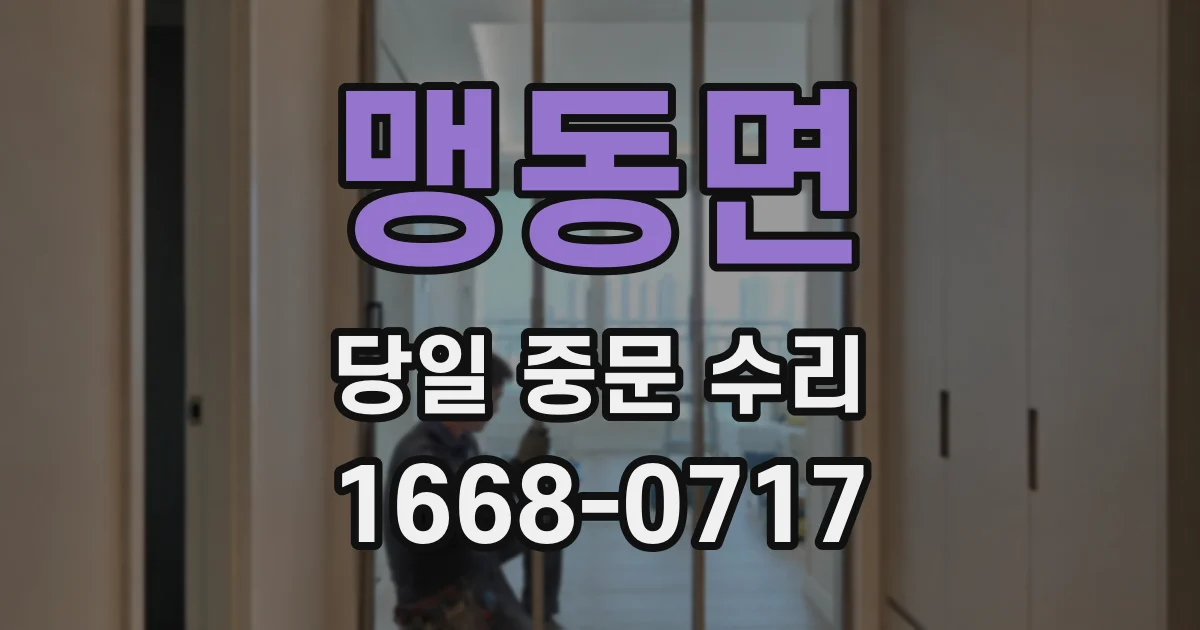맹동면 당일 중문 수리