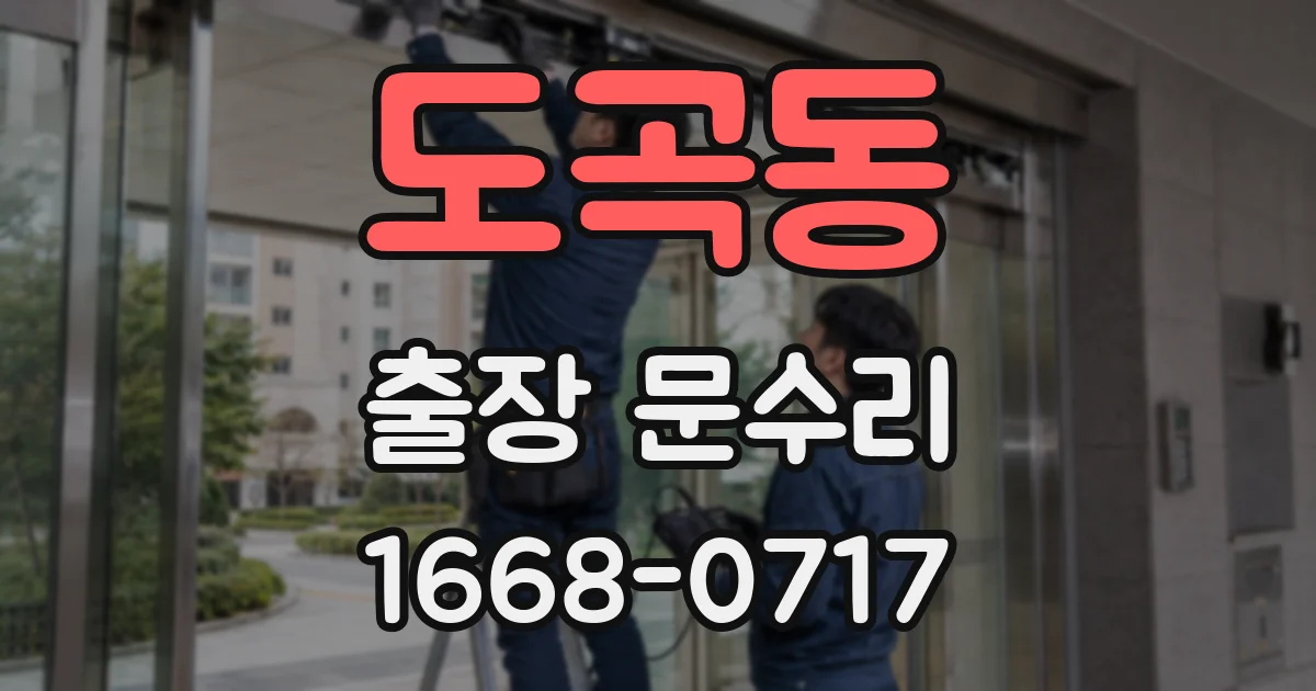 도곡동 출장 문수리