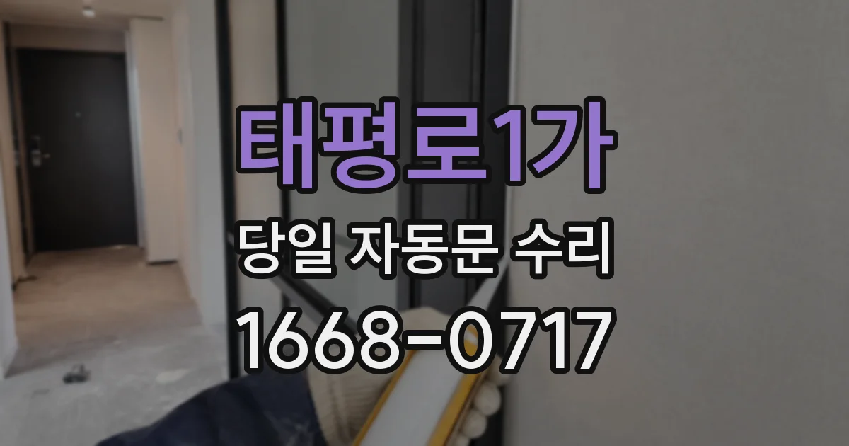 태평로1가 당일 자동문 수리