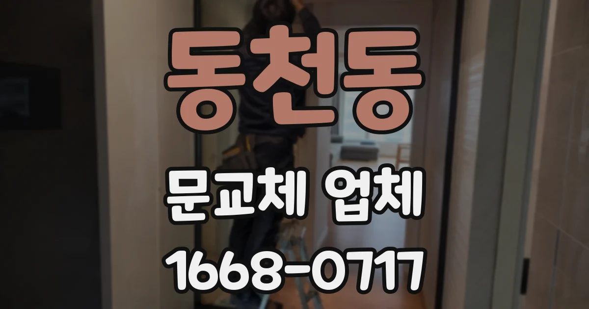 동천동 문교체 업체