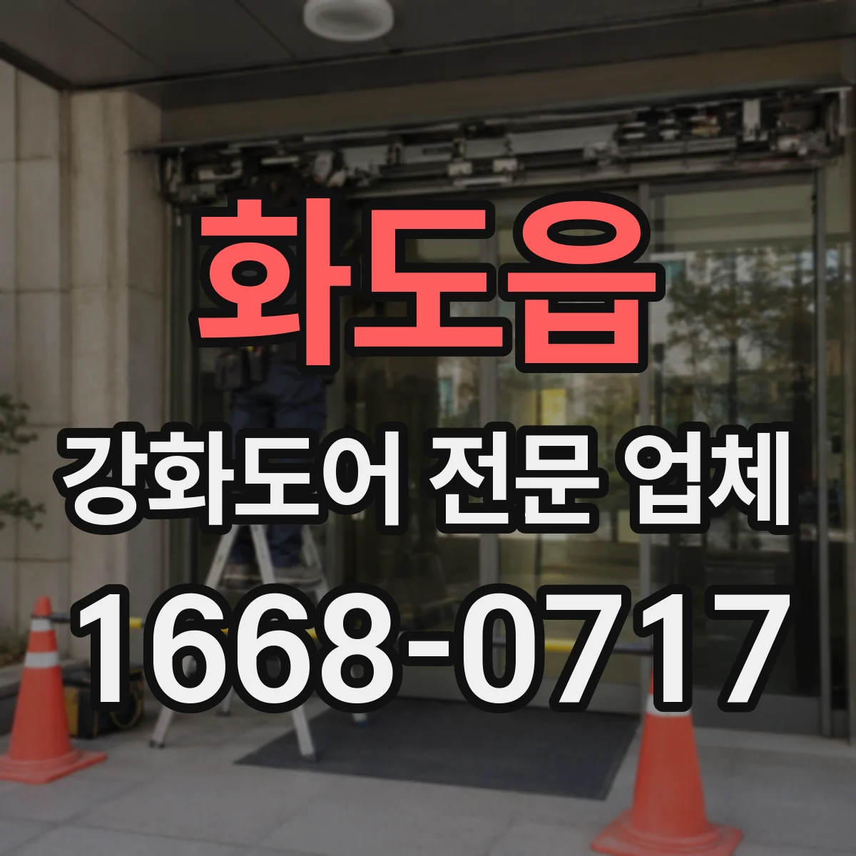화도읍 강화도어 전문 업체