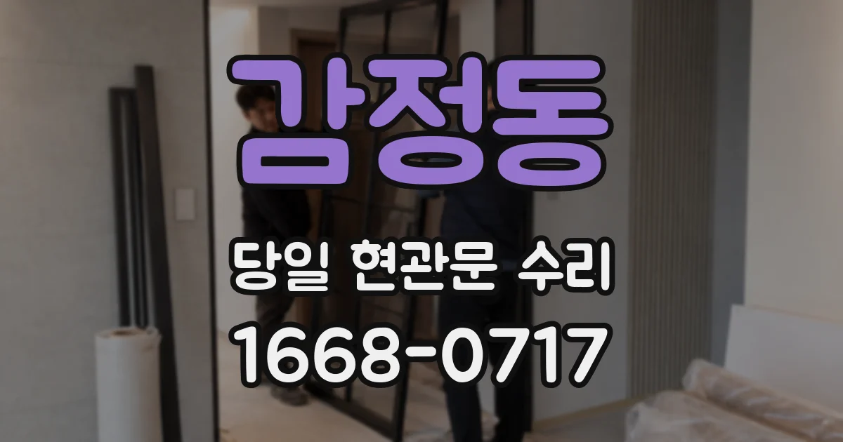 감정동 당일 현관문 수리