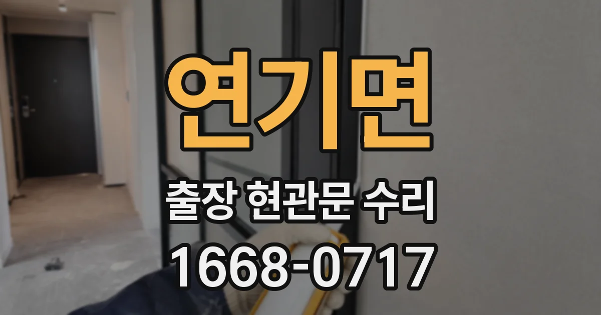 연기면 출장 현관문 수리
