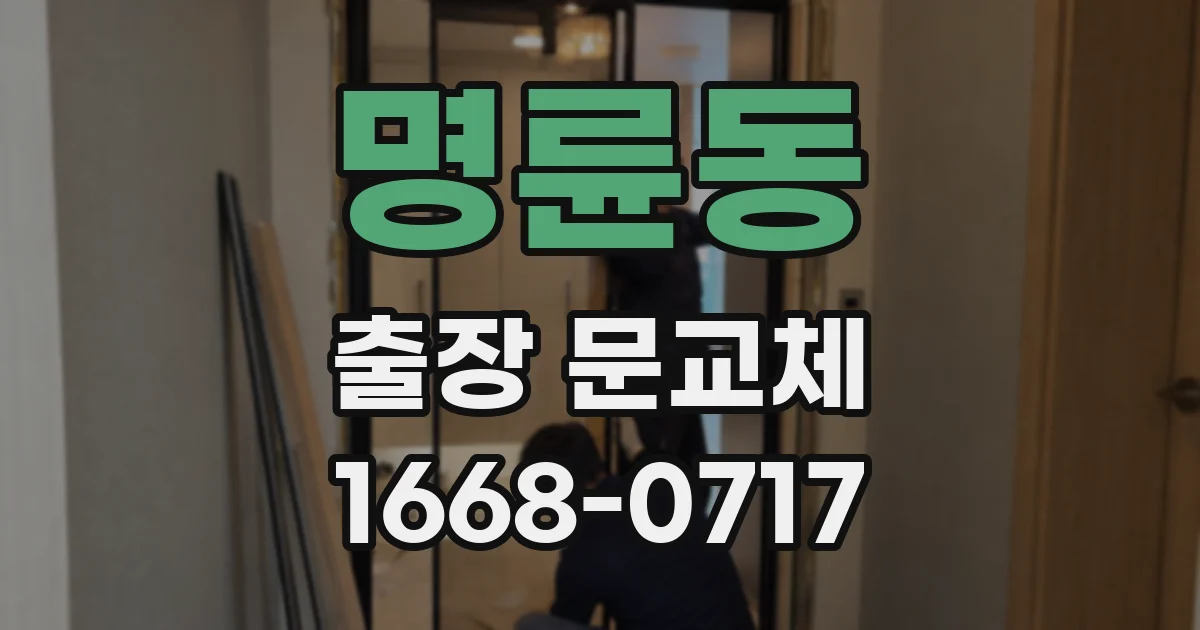명륜동 출장 문교체