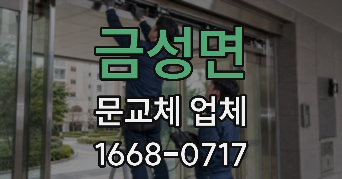 금성면 문교체 업체