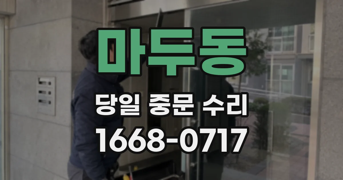 마두동 당일 중문 수리