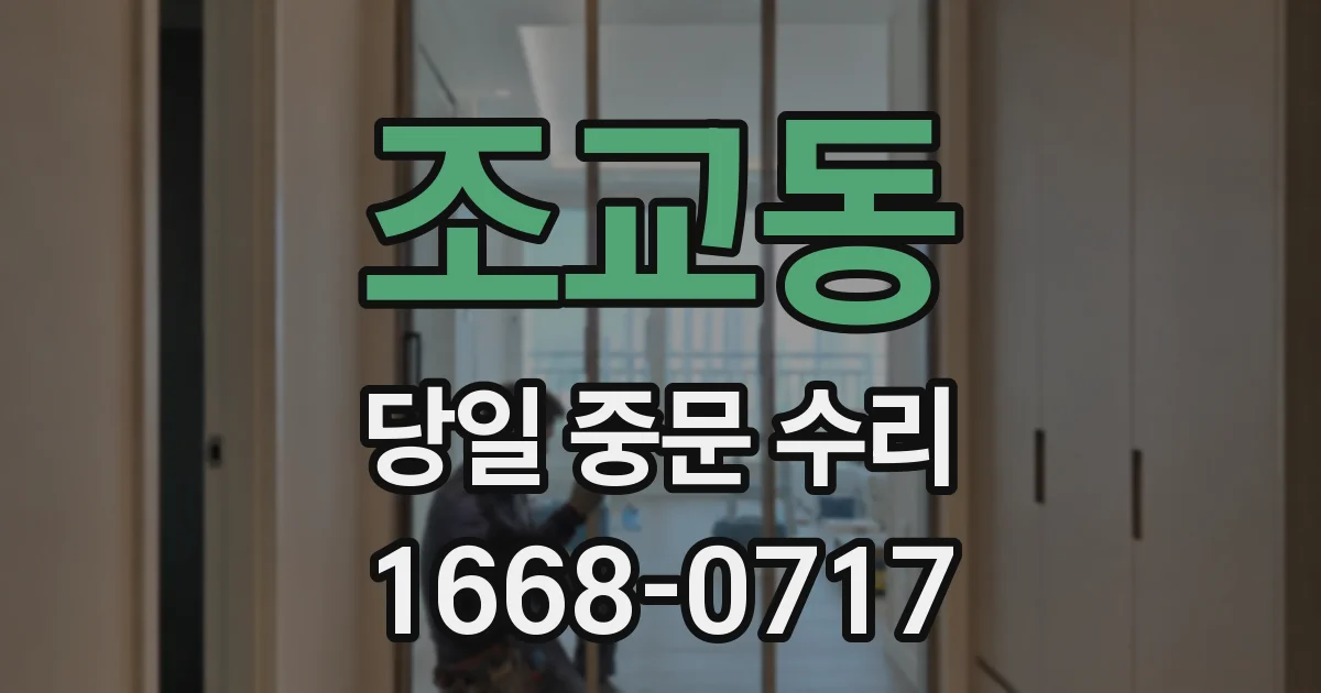 조교동 당일 중문 수리