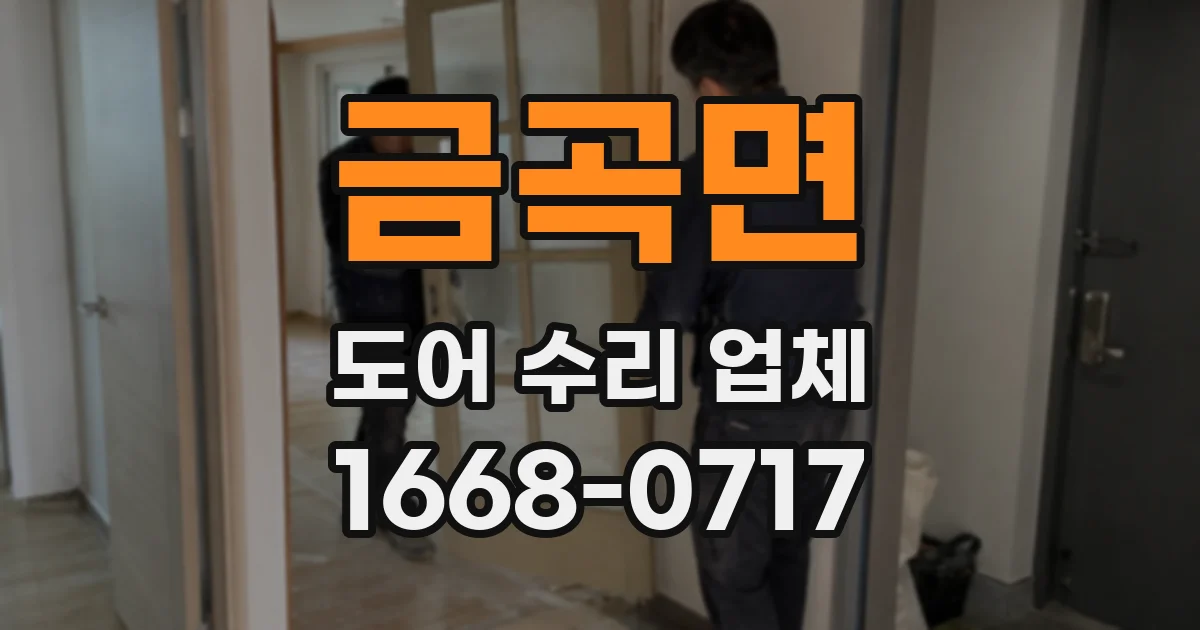 금곡면 도어 수리 업체