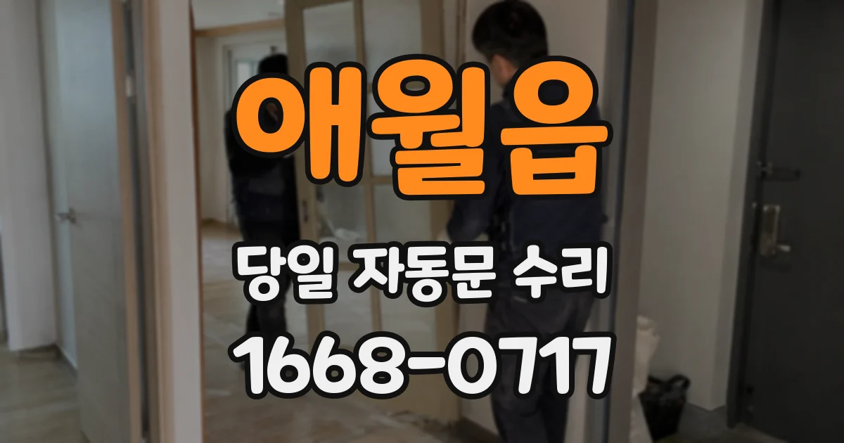 애월읍 당일 자동문 수리