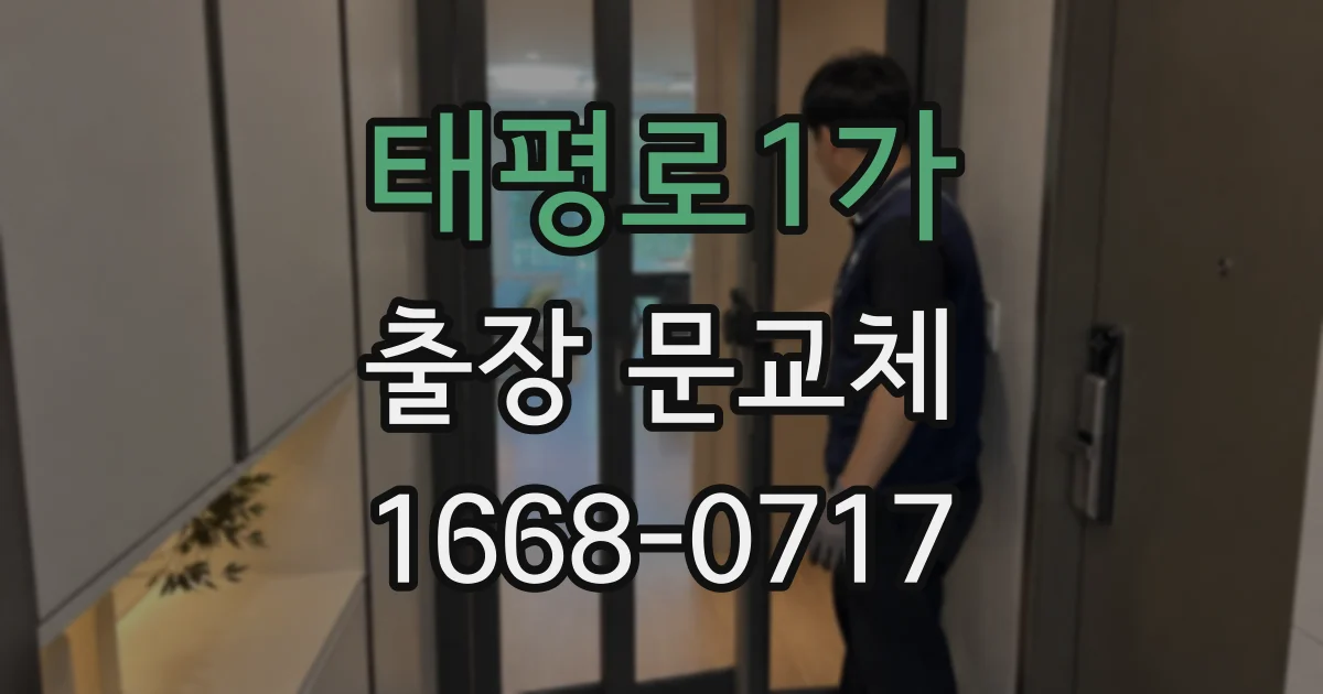 태평로1가 출장 문교체