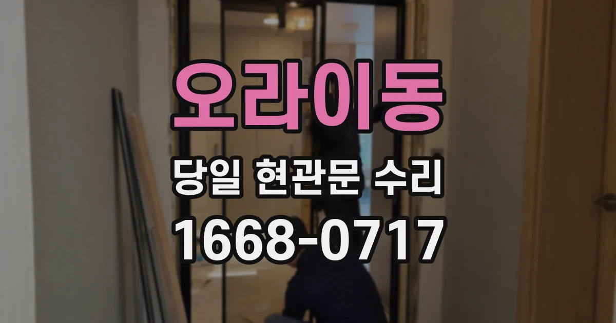 오라이동 당일 현관문 수리