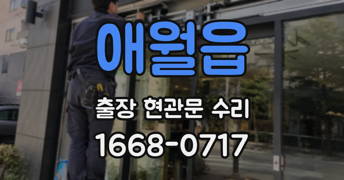 애월읍 출장 현관문 수리