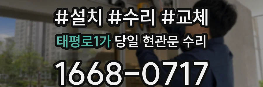 태평로1가 당일 현관문 수리