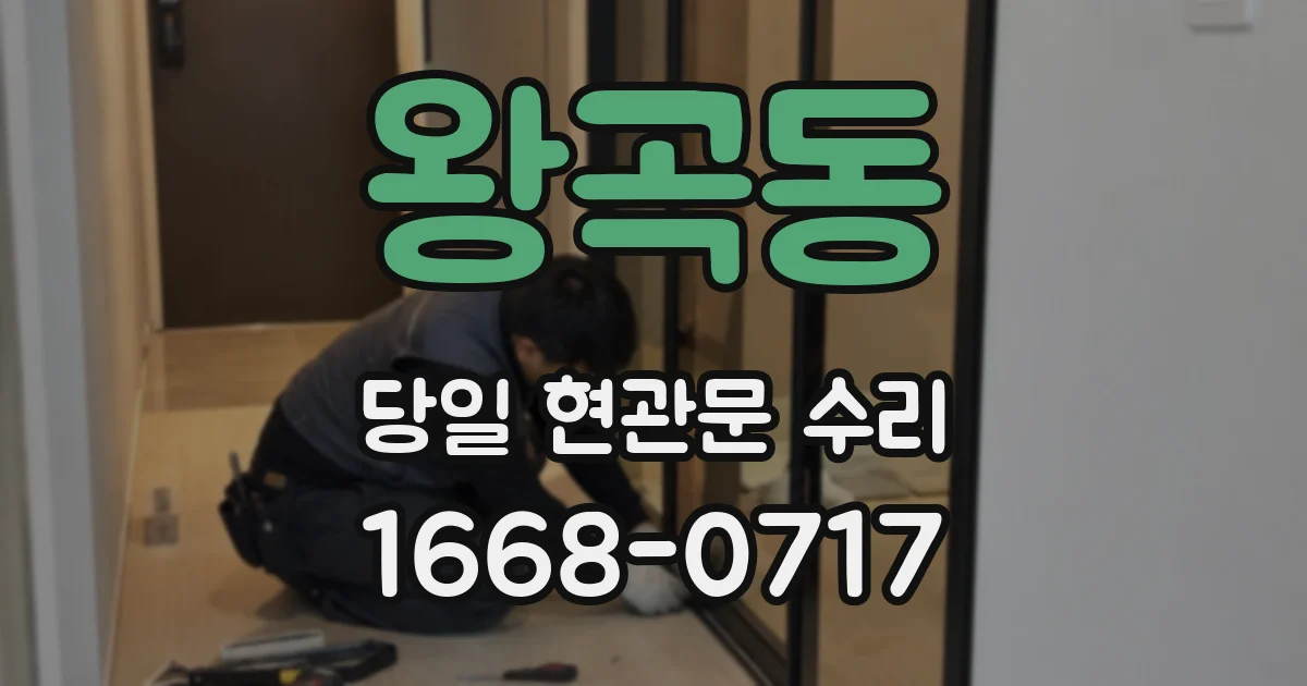 왕곡동 당일 현관문 수리