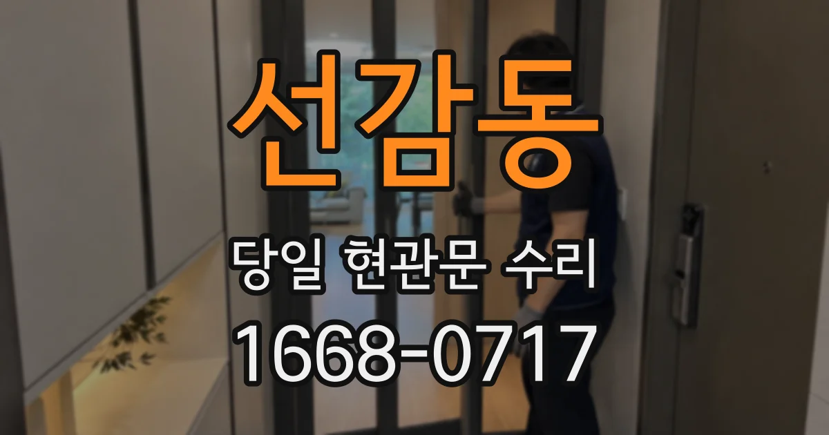 선감동 당일 현관문 수리