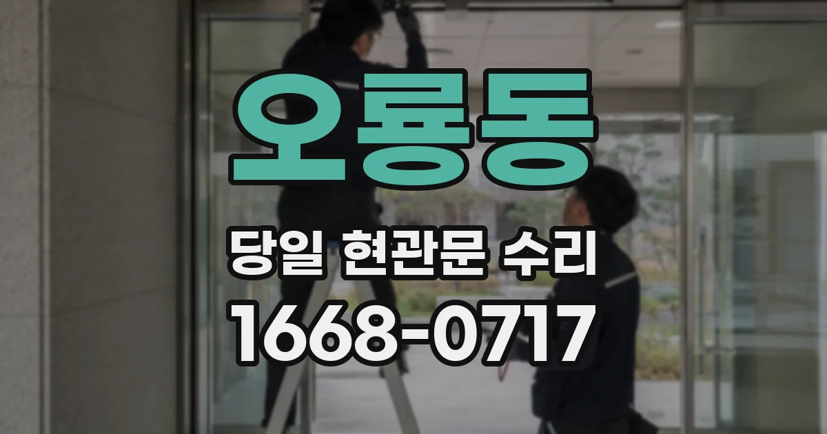 오룡동 당일 현관문 수리