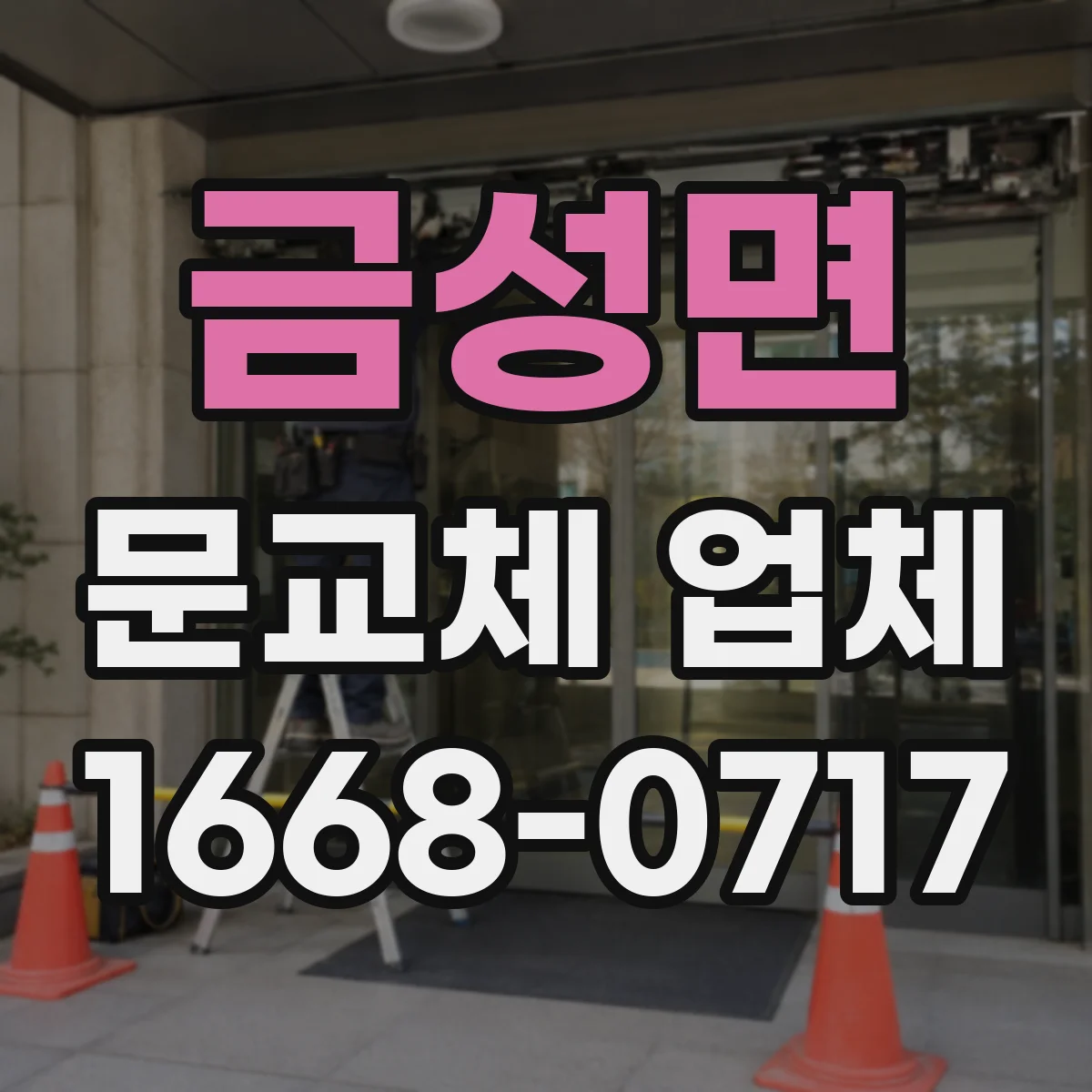 금성면 문교체 업체
